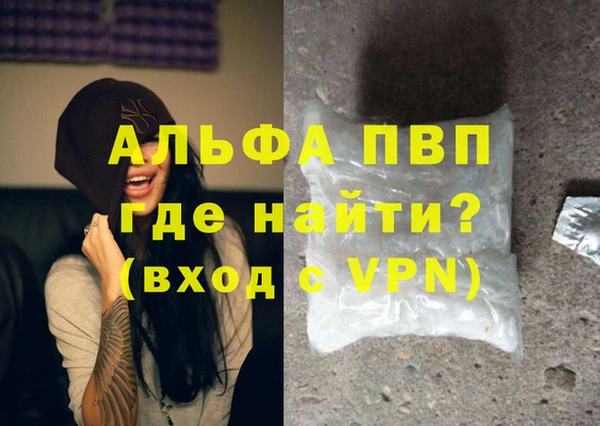 PSILOCYBIN Верея
