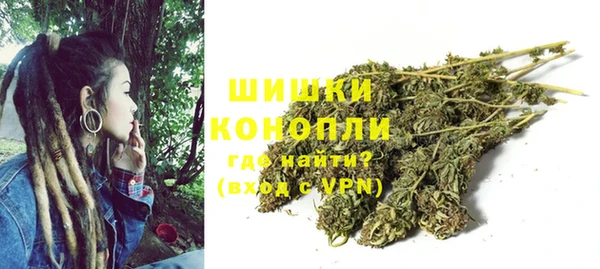 PSILOCYBIN Верея