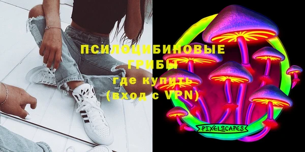 PSILOCYBIN Верея