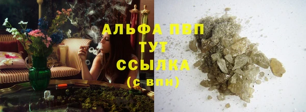 PSILOCYBIN Верея