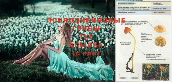 кокаин перу Верхний Тагил